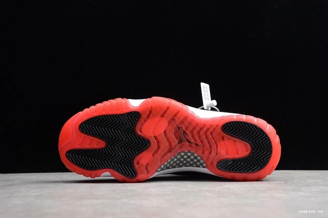 Chep Onekick  mens 11 Air 
